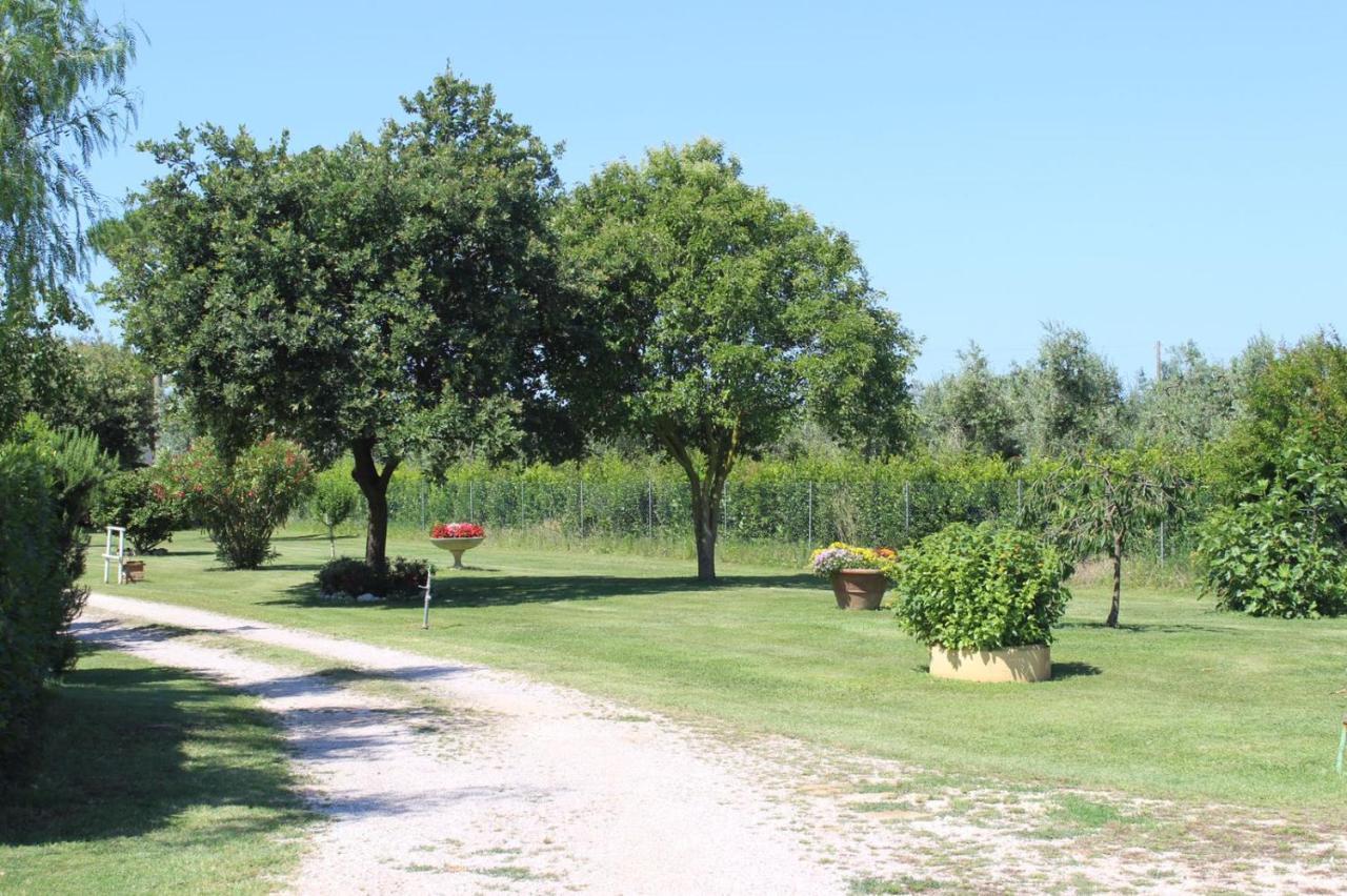 Podere Serena Castagneto Carducci Exterior photo