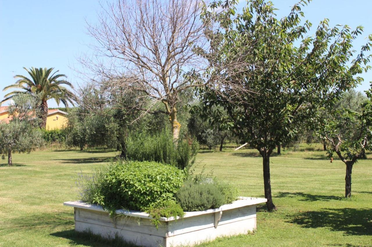Podere Serena Castagneto Carducci Exterior photo
